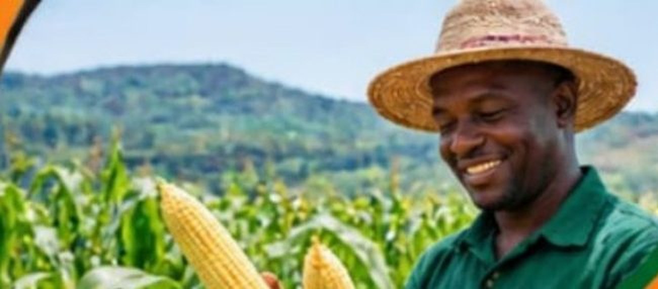 Maize farmer in a Rwandan field