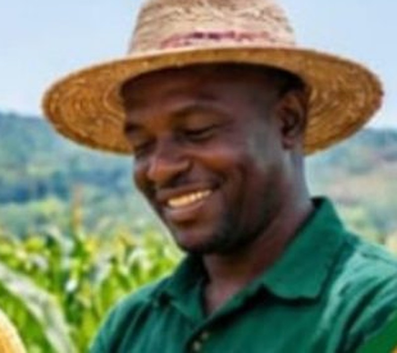 Farmer at work in the field