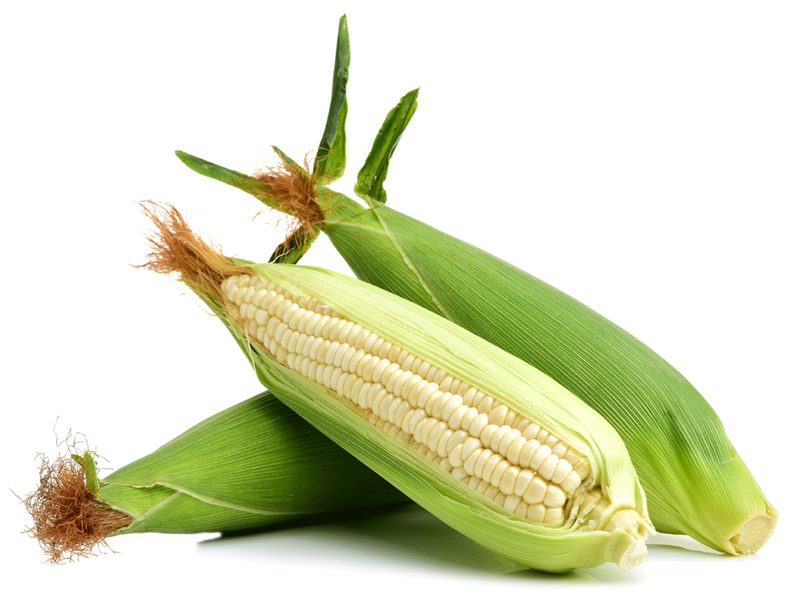 Maize seed